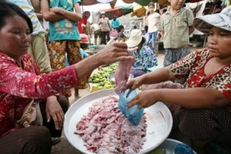 Algunos de los 900 detenidos vendían carne de rata o zorro