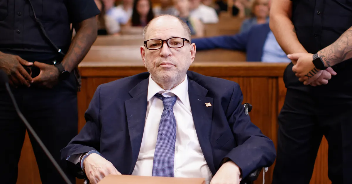 La leucemia mieloide crónica representa aproximadamente el 15% de las leucemias en adultos, según la Sociedad Americana del Cáncer. La leucemia mieloide crónica representa aproximadamente el 15% de las leucemias en adultos, según la Sociedad Americana del Cáncer.