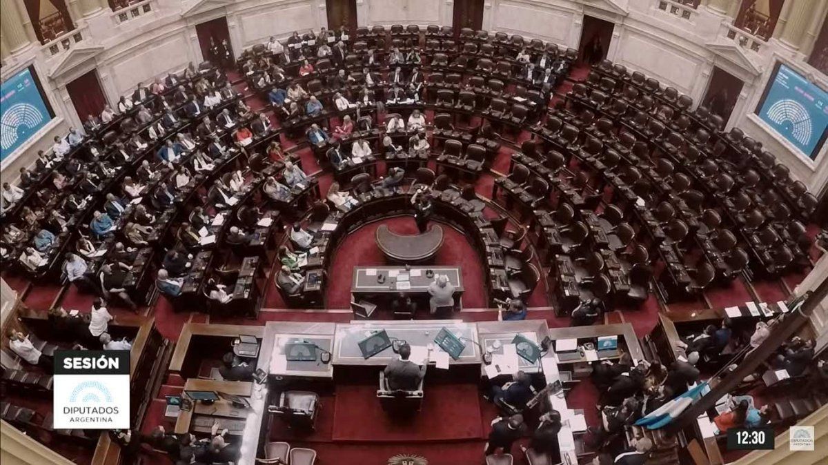 Con 38 diputados y 7 senadores, Javier Milei experimenta una situación de minoría inédita en el Congreso.&nbsp;