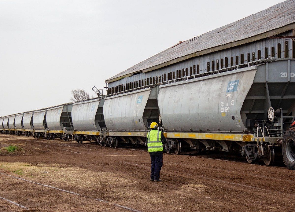 Trenes Argentinos reactivó un ramal del San Martín cargas