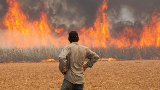 Varios implicados en los incendios devastadores en Brasil.