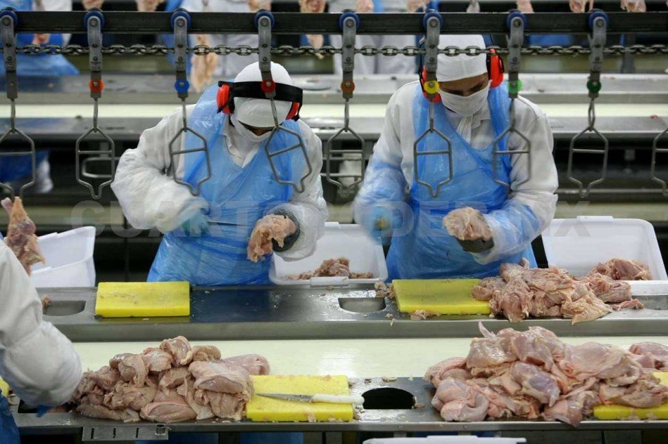 La actividad económica todavía no repunta.