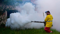 China impone cuarentenas por importante brote de Chikungunya. Autoridades sanitarias advierten creciente incidencia por condiciones atmosféricas producto del cambio climático