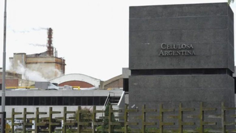 Celulosa informa el concurso preventivo de Forestadora Tapebicua