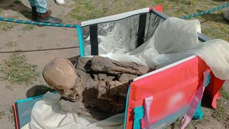 Delivery de momia: Repartidor detenido en Perú