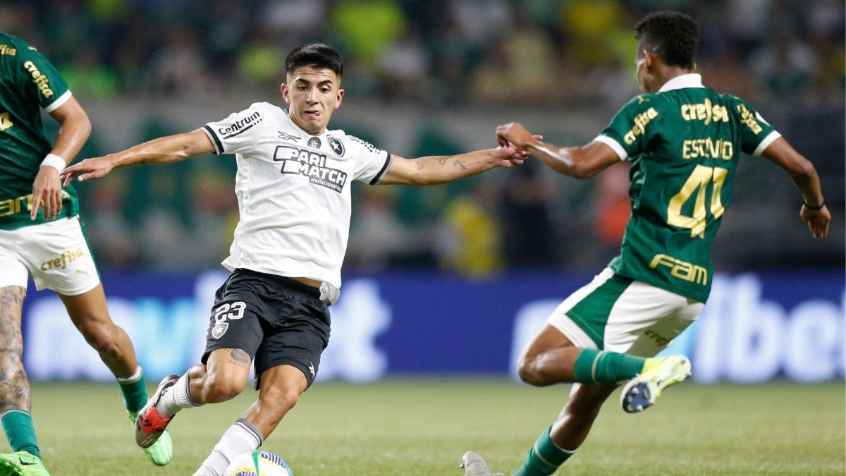 Botafogo y Palmeiras definen el Brasileirao