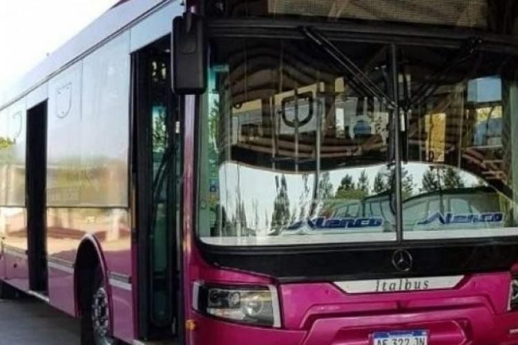Eduardo Valois Zbikoski fue director de Don Casimiro, empresa de transporte de pasajeros en la ciudad de Posadas. Sus 3 hijos -Eduardo Jr., Javier y Marcelo Zbikoski- incursionan en el negocio familiar. Eduardo Alejandro y Javier controlan el Grupo Metrop