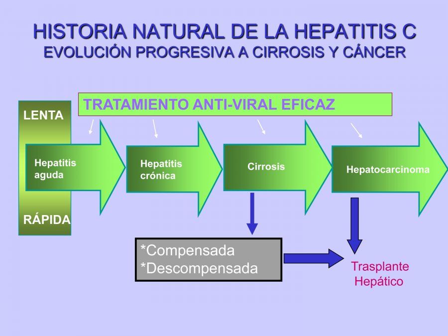 El cuadro permite obtener una perspectiva de la evolución negativa de la hepatitis C.