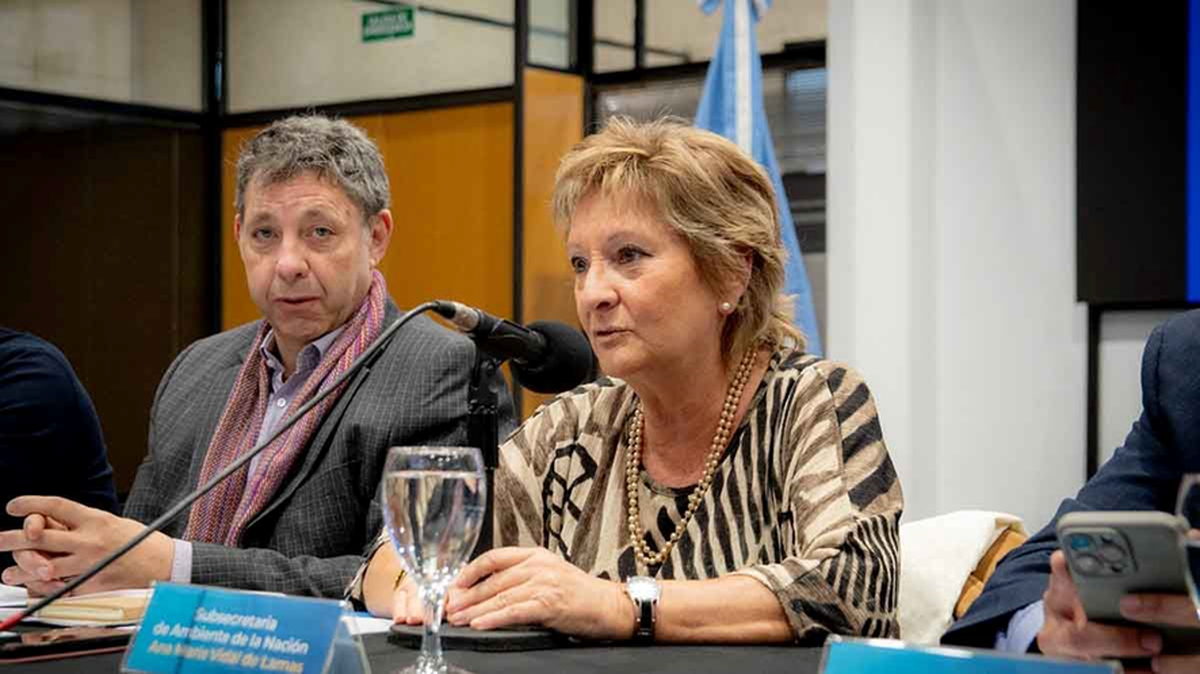 Ana María Vidal, ex sub secretaria de Medio Ambiente, adujo agotamiento Ana María Vidal, ex sub secretaria de Medio Ambiente, adujo agotamiento