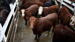 altText(Sigue la tensión por la carne, Ecolatina advierte sobre el ritmo de la inflación, y los textiles en la mira)}