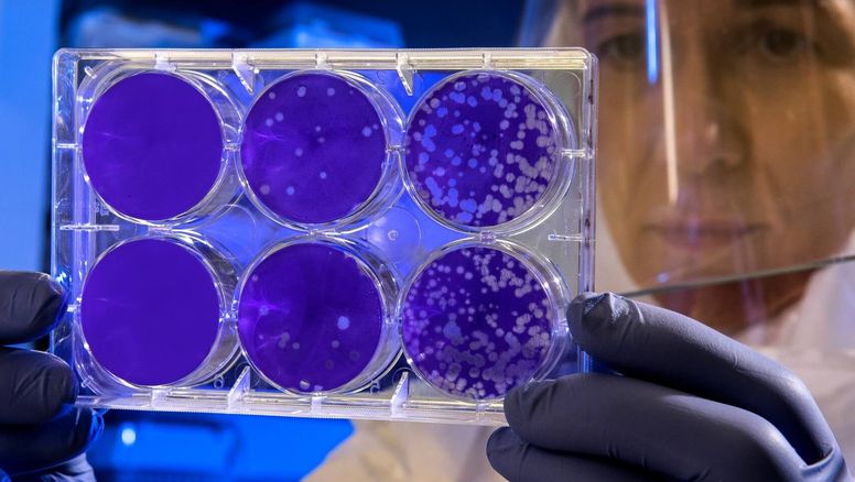 5.500 nuevos virus en los océanos: ¿Dónde estamos parados?