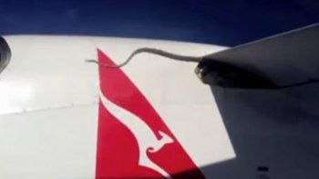 increible video: serpiente piton cruza el mar agarrada de la turbina de un avion increible video: serpiente piton cruza el mar agarrada de la turbina de un avion