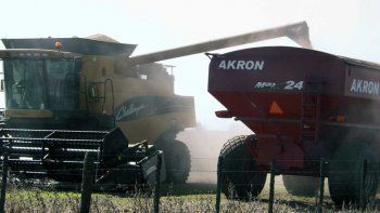 La soja sigue siendo un imán de dólares. Foto: NA. La soja sigue siendo un imán de dólares. Foto: NA.