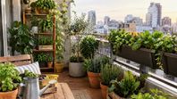 Cada vez más plantas en los balcones: Qué motivo explica el auge de los jardines urbanos Cada vez más plantas en los balcones: Qué motivo explica el auge de los jardines urbanos