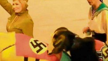 polemica en rusia por un show circense con animales nazis polemica en rusia por un show circense con animales nazis