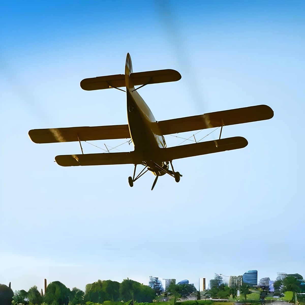 Posibilidades que suman a combatir el dengue. Posibilidades que suman a combatir el dengue. 