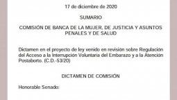 altText(Aborto: Las firmas del dictamen revelaron cómo votarán algunos senadores en duda)}