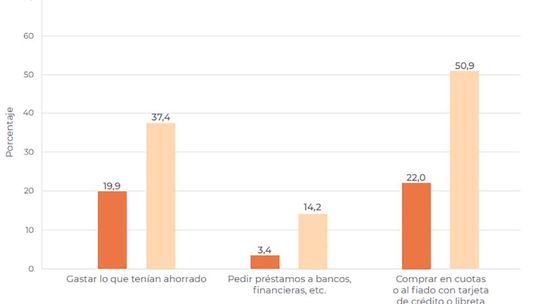 Estrategias de los hogares para afrontar los costos de manutención (Gráfico: Indec) Estrategias de los hogares para afrontar los costos de manutención (Gráfico: Indec)