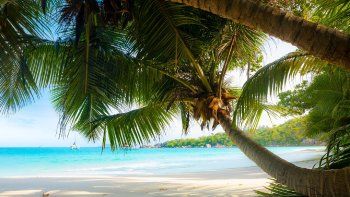 el destino del exterior que mas buscan los argentinos el destino del exterior que mas buscan los argentinos