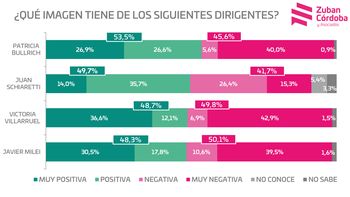 bullrich y villarruel mas populares que javier milei bullrich y villarruel mas populares que javier milei