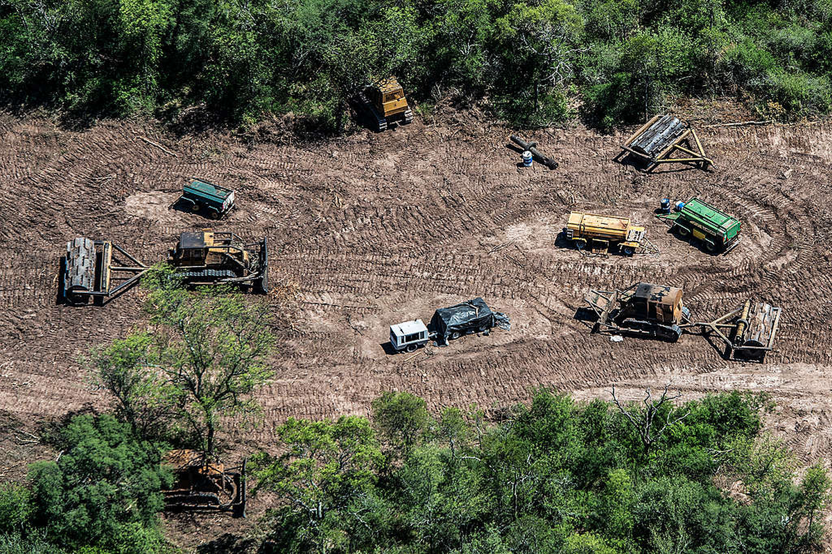 Deforestación en el chaco salteño Deforestación en el chaco salteño