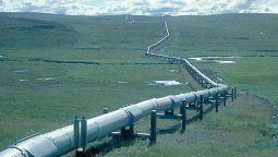 altText(Colapso ladriprogre: Al final... Cristina tuvo que entenderlo...)}