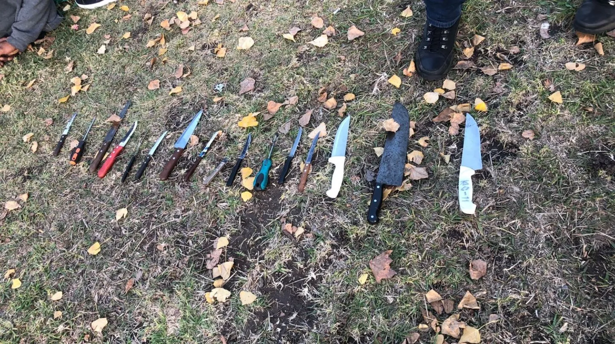 Las armas blancas que poseían los colombianos (Foto TN)