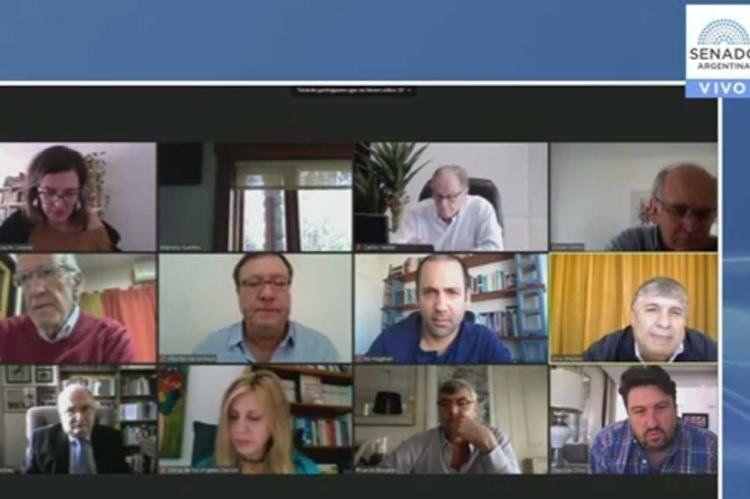 La Comisión Bicameral Permanente de Seguimiento y Control de la Gestión y Pago de la Deuda Exterior de la Argentina sesionó por videoconferencia.