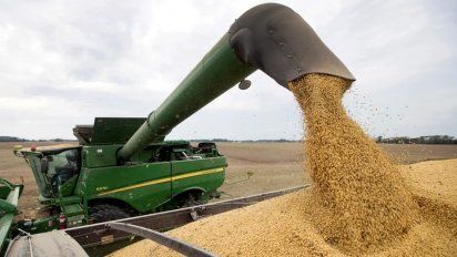 Las exportaciones de maíz y soja llegarían a US$ 29 MM