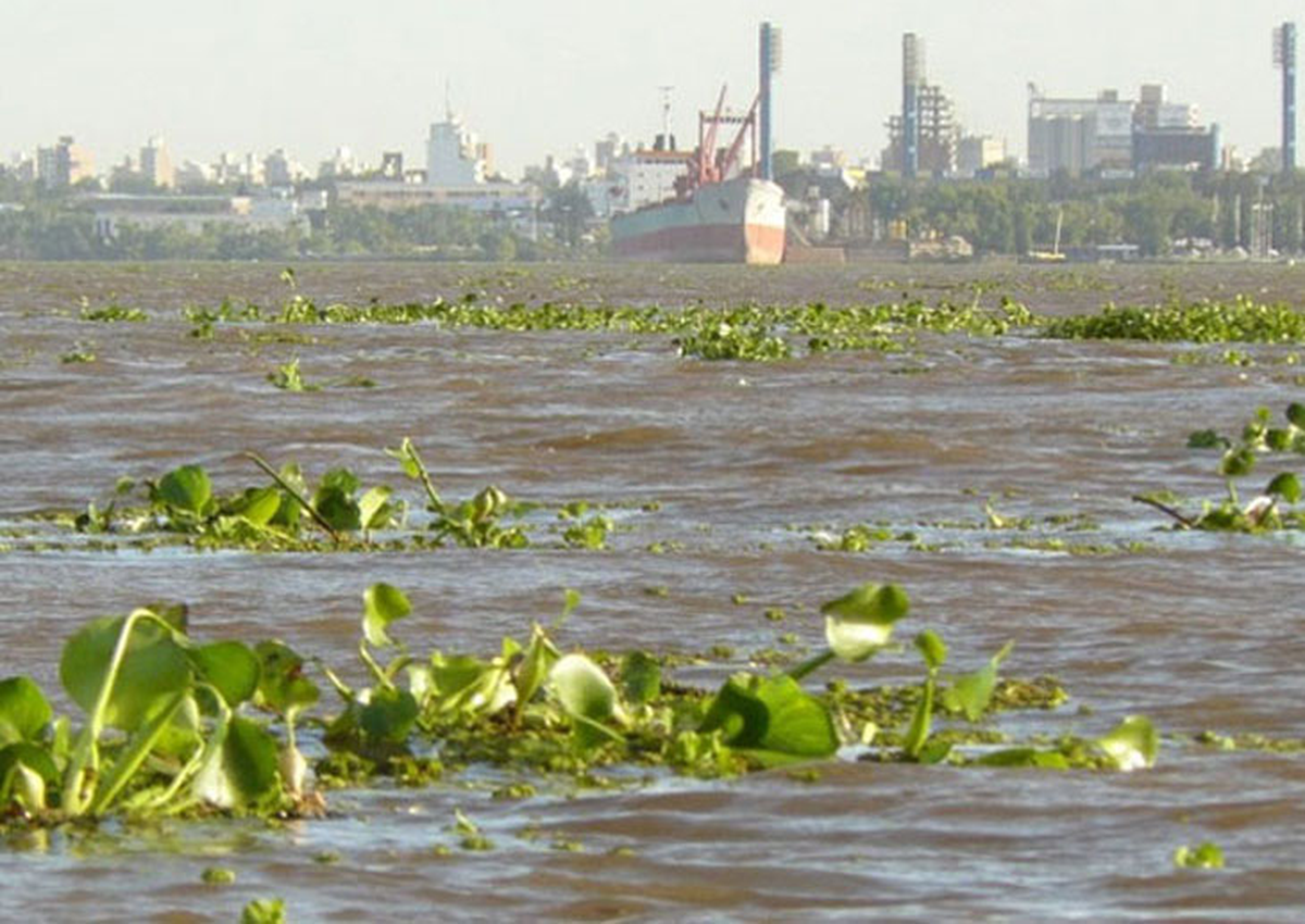 El río Paraná en la mira y bajo alerta. El río Paraná en la mira y bajo alerta. 
