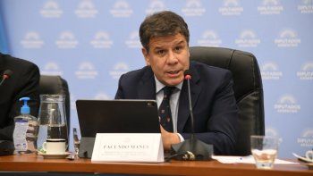 Facundo Manes diputado radical Facundo Manes diputado radical