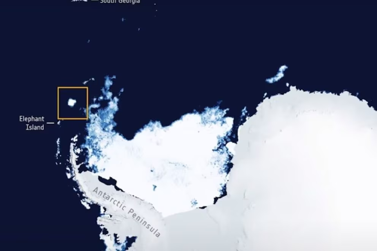 Tras más de 30 años inmóvil, el iceberg más grande el mundo comenzó su desplazamiento en 2020 y ahora está a la deriva. Tras más de 30 años inmóvil, el iceberg más grande el mundo comenzó su desplazamiento en 2020 y ahora está a la deriva.