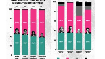 Javier Milei igual que Axel Kicillof, apenas arriba de CFK. Javier Milei igual que Axel Kicillof, apenas arriba de CFK.
