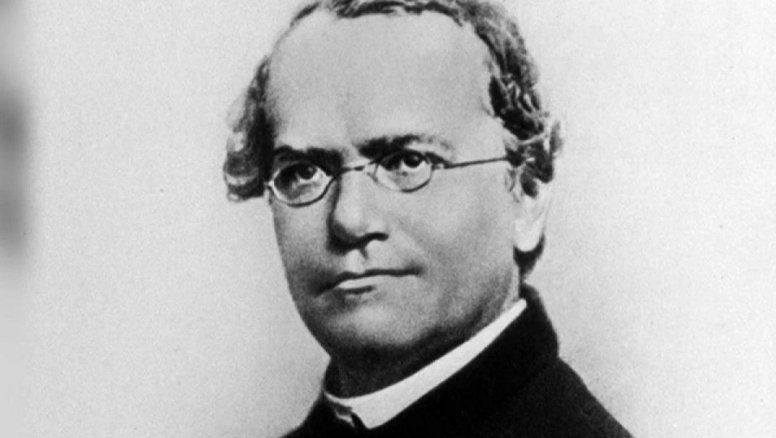 Gregor Mendel: el monje austríaco creador de la genética