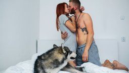 Sexo: Consejos para que tu mascoya no arruine tu vida sexual / Imagen de teksomolika﻿ en Freepik.