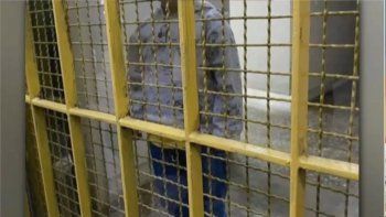 Insólita situación en La Plata, dejan olvidado a un nene de 2 años. Insólita situación en La Plata, dejan olvidado a un nene de 2 años.