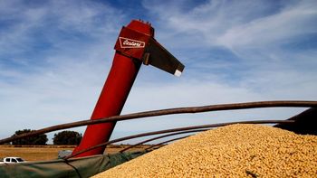 El campo superó las expectivas de exportaciones que acordó con el ministerio de Economía. El campo superó las expectivas de exportaciones que acordó con el ministerio de Economía.