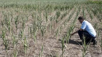 Beneficios AFIP para el campo: Cómo acceder y desde cuándo