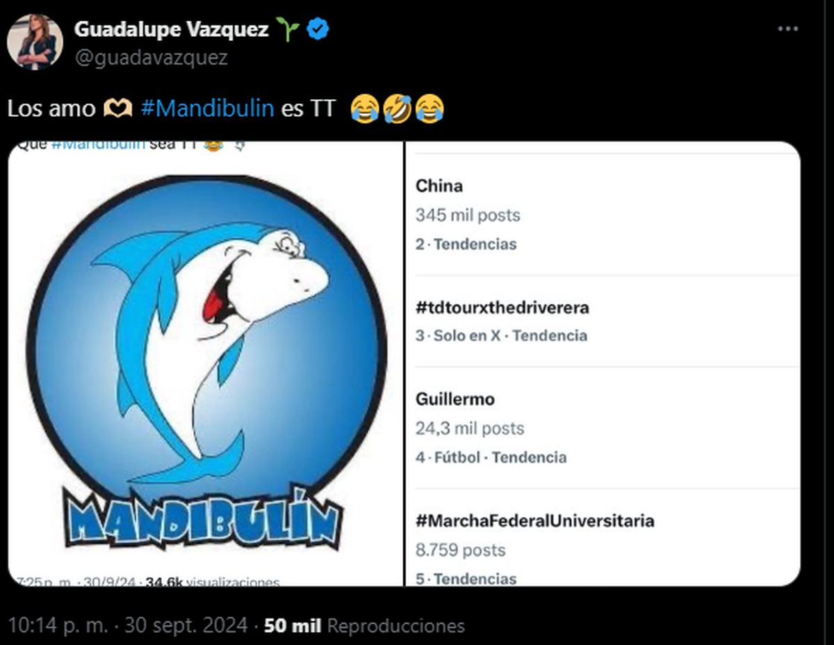 El posteo de Guadalupe Vázquez acompañado de la caricatura que alude a Mayra Mendoza y que tiene doble significado. El posteo de Guadalupe Vázquez acompañado de la caricatura que alude a Mayra Mendoza y que tiene doble significado.