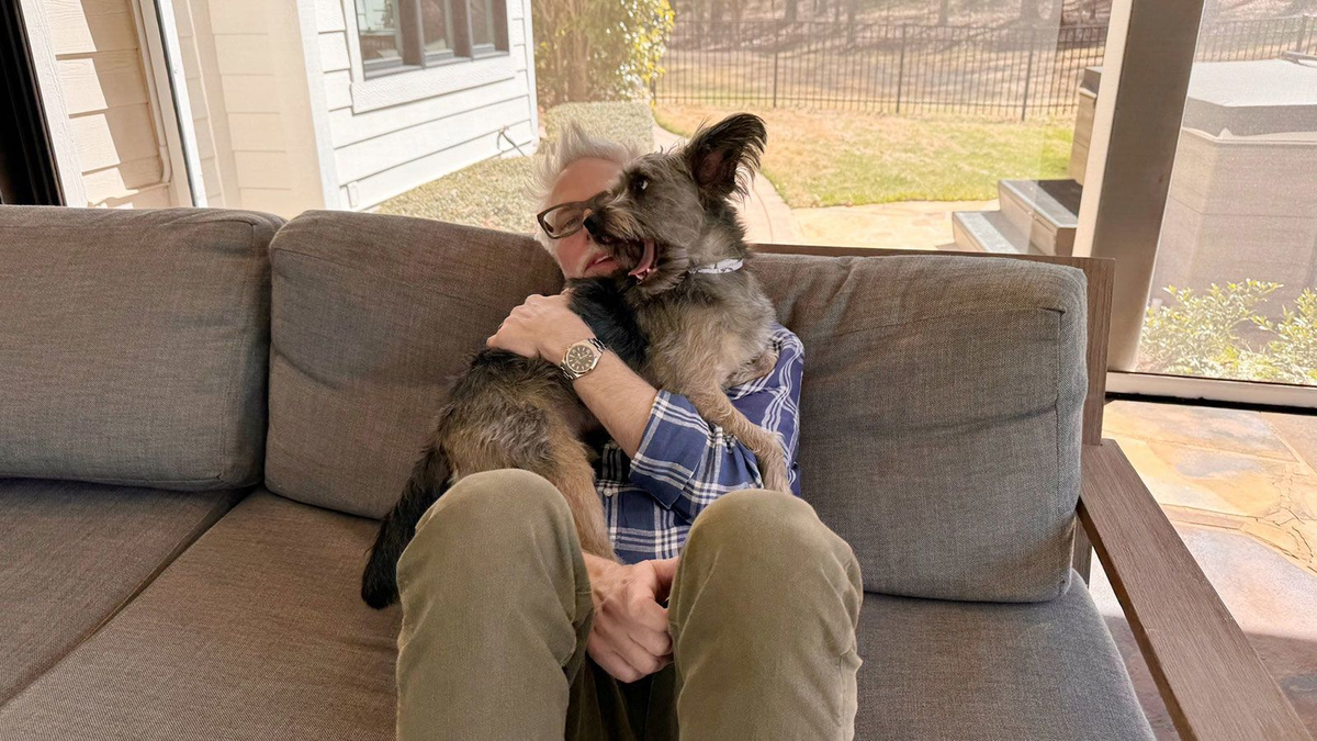 El perro que inspiró el diseño principal. El perro que inspiró el diseño principal.