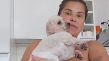 El ejemplar gesto de Nazarena Vélez: Rescató un perro que caminaba desorientado por la ruta. (Foto: Captura de video) El ejemplar gesto de Nazarena Vélez: Rescató un perro que caminaba desorientado por la ruta. (Foto: Captura de video)