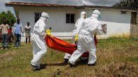Preocupación sanitaria: investigan buques llegados desde zonas afectadas por el brote de ébola Preocupación sanitaria: investigan buques llegados desde zonas afectadas por el brote de ébola