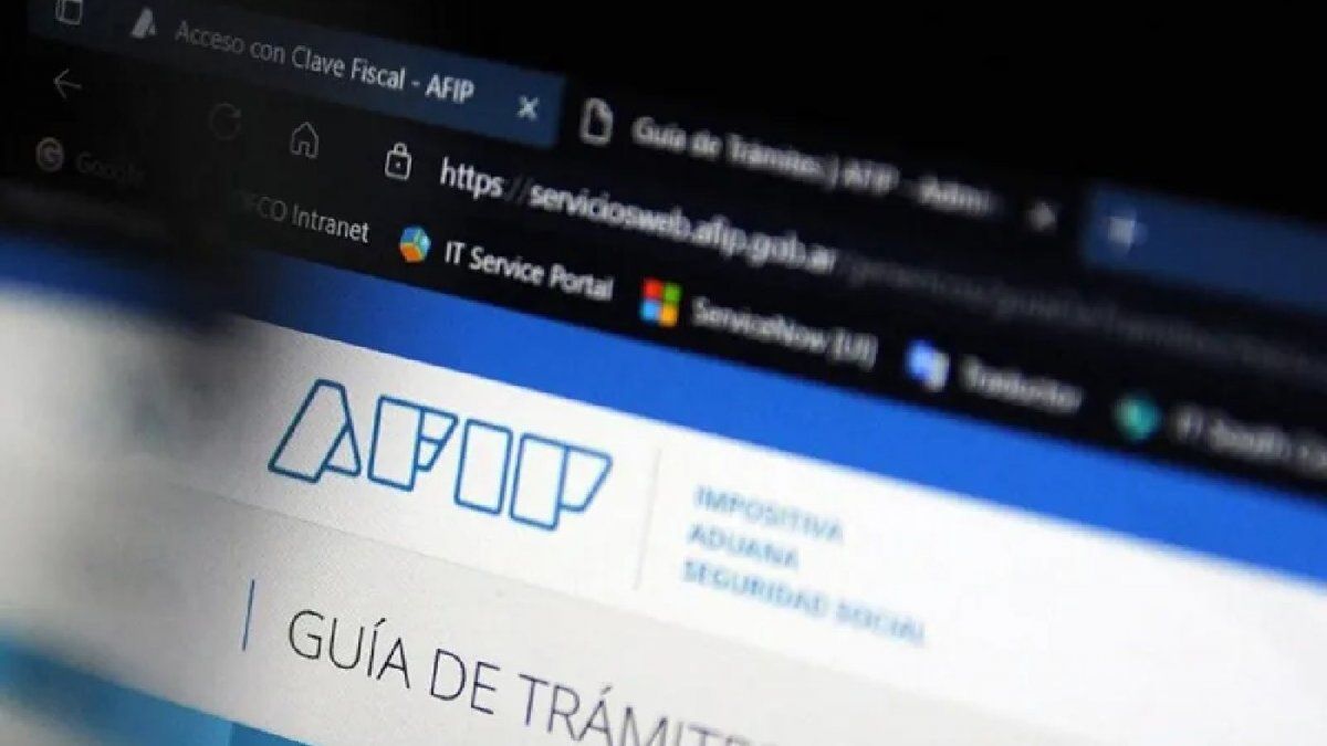 AFIP Tomó Una Desesperada Medida Con Los CUIT De Miles De ...