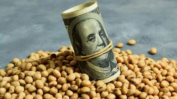 Convenio de cooperación aduanera y el eje soja