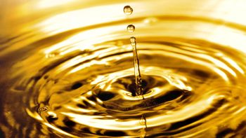 Diésel, casi oro o platino en el mundo 2022. Diésel, casi oro o platino en el mundo 2022.