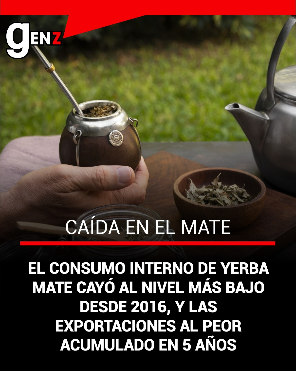 La yerba mate muestra números en rojo en el campo mesopotámico La yerba mate muestra números en rojo en el campo mesopotámico