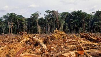 Alivio en el campo y en el Gobierno: Europa postergó la Ley Antideforestación