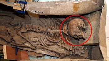 La ciencia no lo puede creer. La ciencia no lo puede creer.