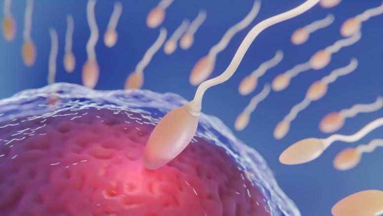 Preservación de la fertilidad: ¿En qué consiste la vitrificación de óvulos?