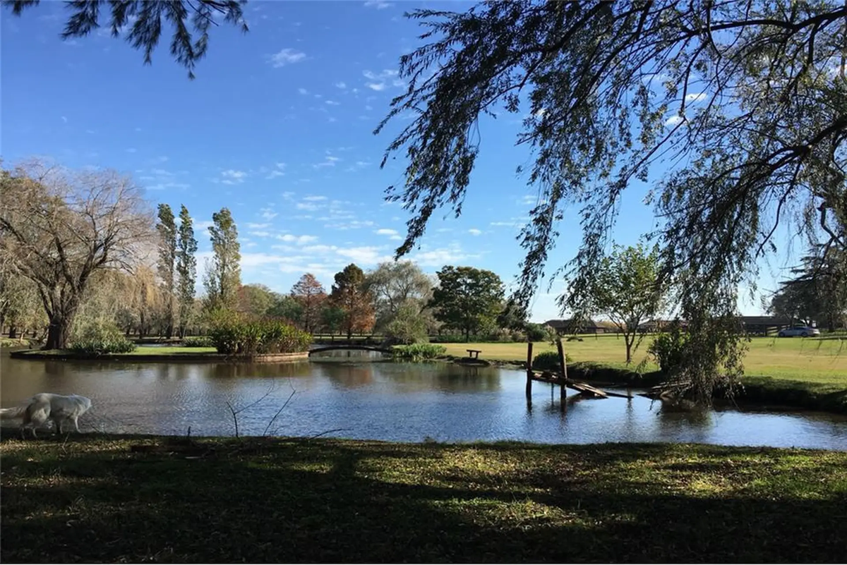 Esta laguna en Buenos Aires tiene mucho encanto. Esta laguna en Buenos Aires tiene mucho encanto.